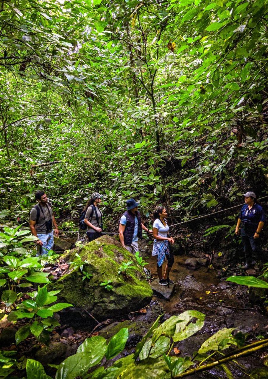 Momarco Forest Cove Tanay Ngoại thất bức ảnh