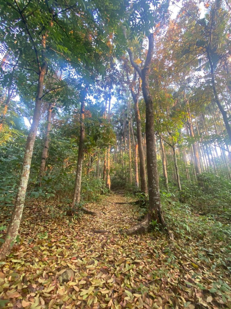 Momarco Forest Cove Tanay Ngoại thất bức ảnh